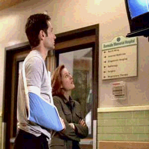 MULDER: EU TE AMO SCULLY!    SCULLY: EU TAMB�M TE AMO MULDER!